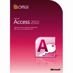 access2010flat